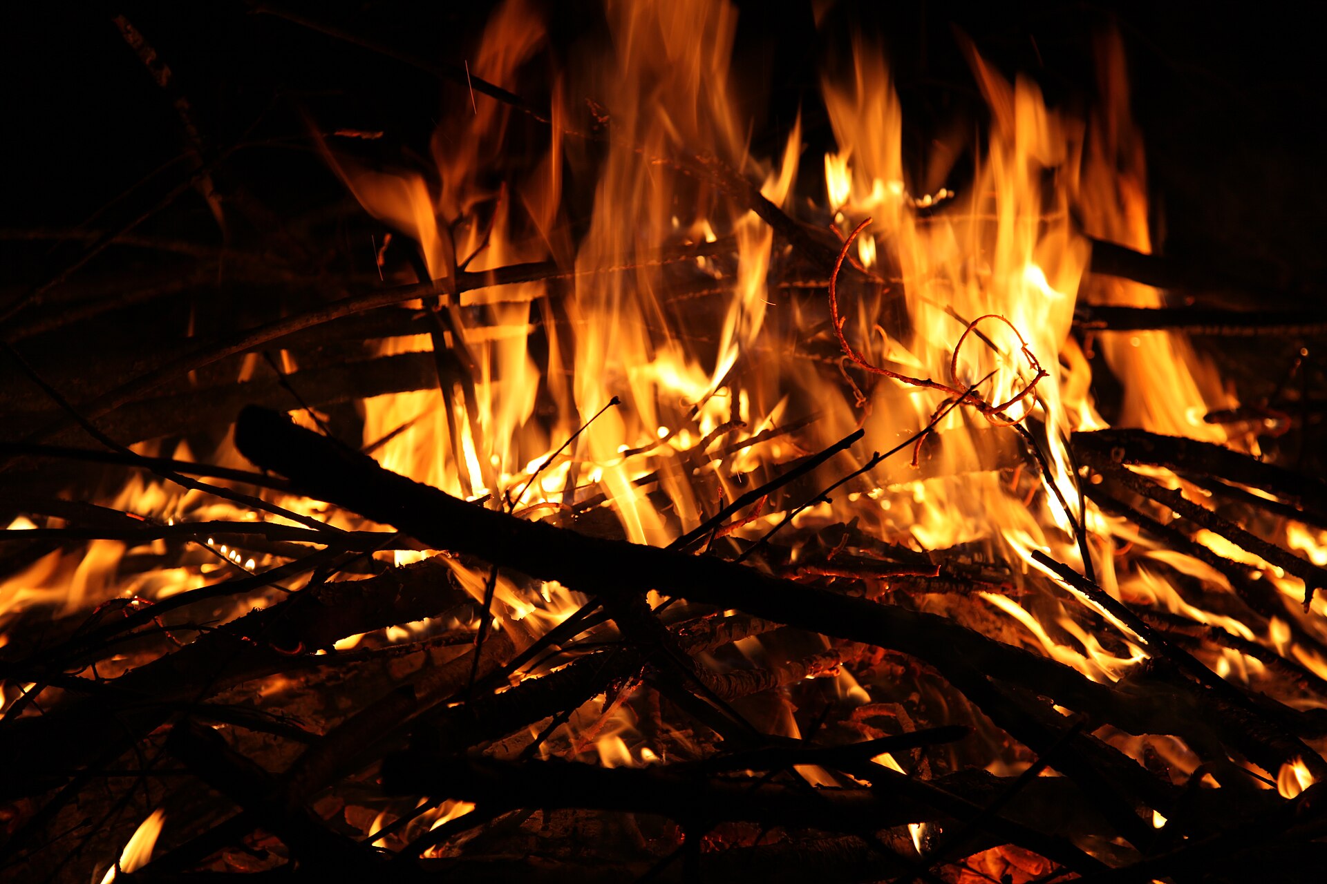 Campfire flames at night at a campsite